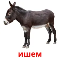 ишем picture flashcards