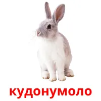 кудонумоло picture flashcards