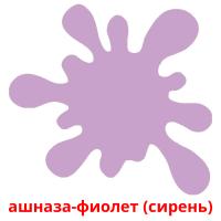 ашназа-фиолет (сирень) picture flashcards