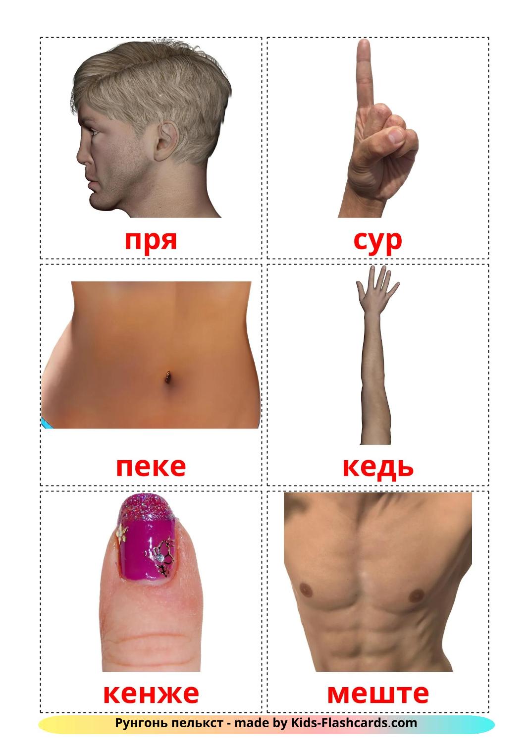 Body Parts - 26 Free Printable erzya Flashcards 