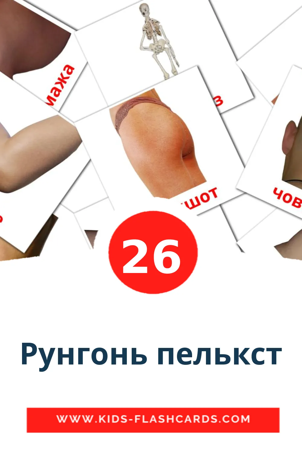 26 Рунгонь пелькст Picture Cards for Kindergarden in erzya