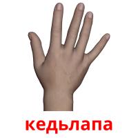 кедьлапа card for translate