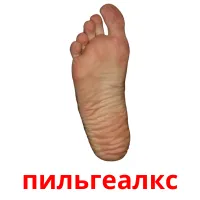 пильгеалкс picture flashcards