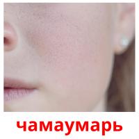 чамаумарь card for translate