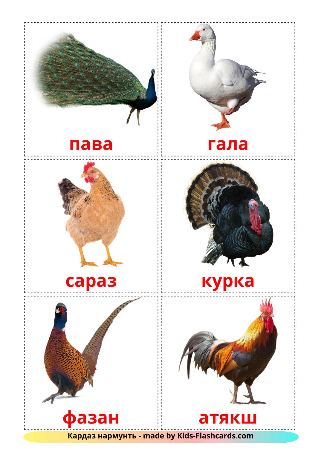Farm birds - 11 Free Printable erzya Flashcards 