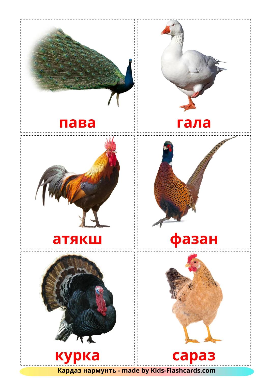 Farm birds - 12 Free Printable erzya Flashcards 