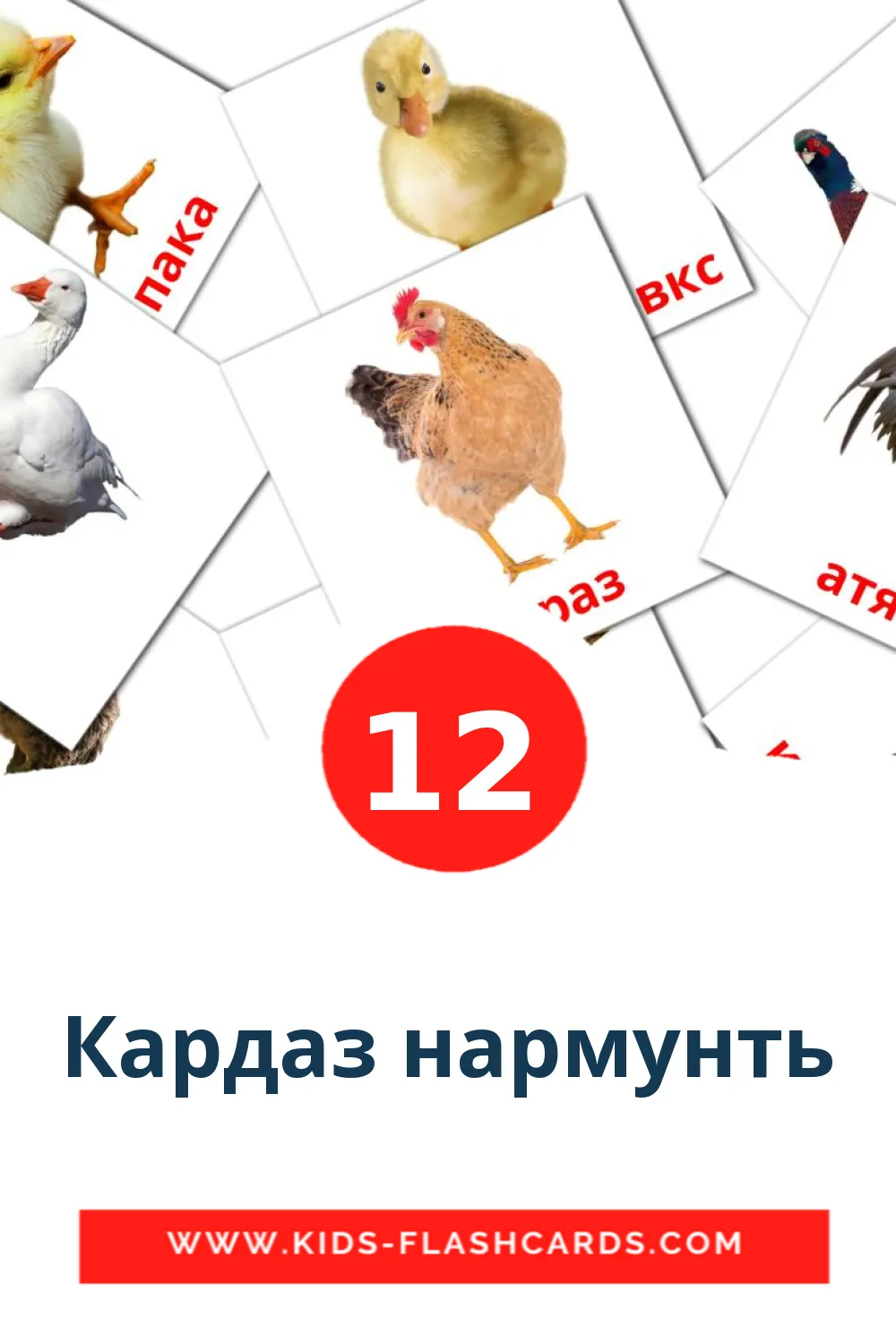 12 Кардаз нармунть Picture Cards for Kindergarden in erzya