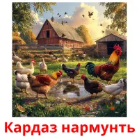 Кардаз нармунть picture flashcards