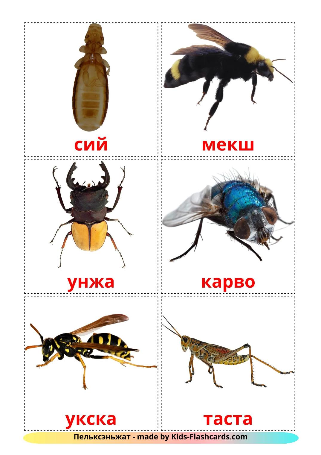 Les Insectes - 24 Flashcards erzya imprimables gratuitement