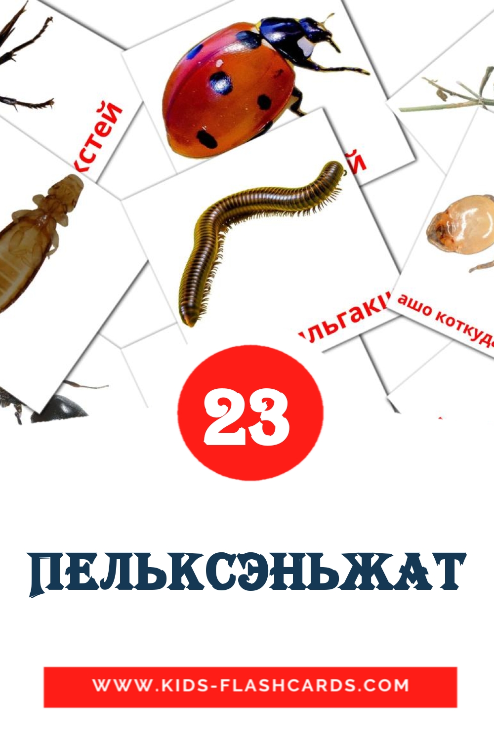 23 Пельксэньжат Picture Cards for Kindergarden in erzya
