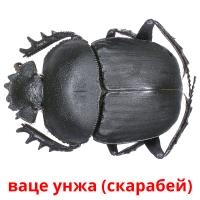 ваце унжа (скарабей) card for translate