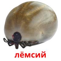 лёмсий card for translate