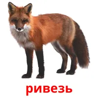 ривезь picture flashcards