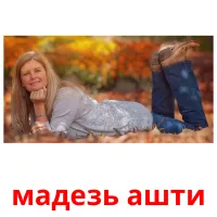 мадезь ашти picture flashcards