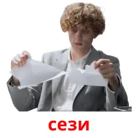 сези picture flashcards