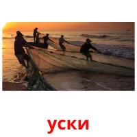 уски picture flashcards