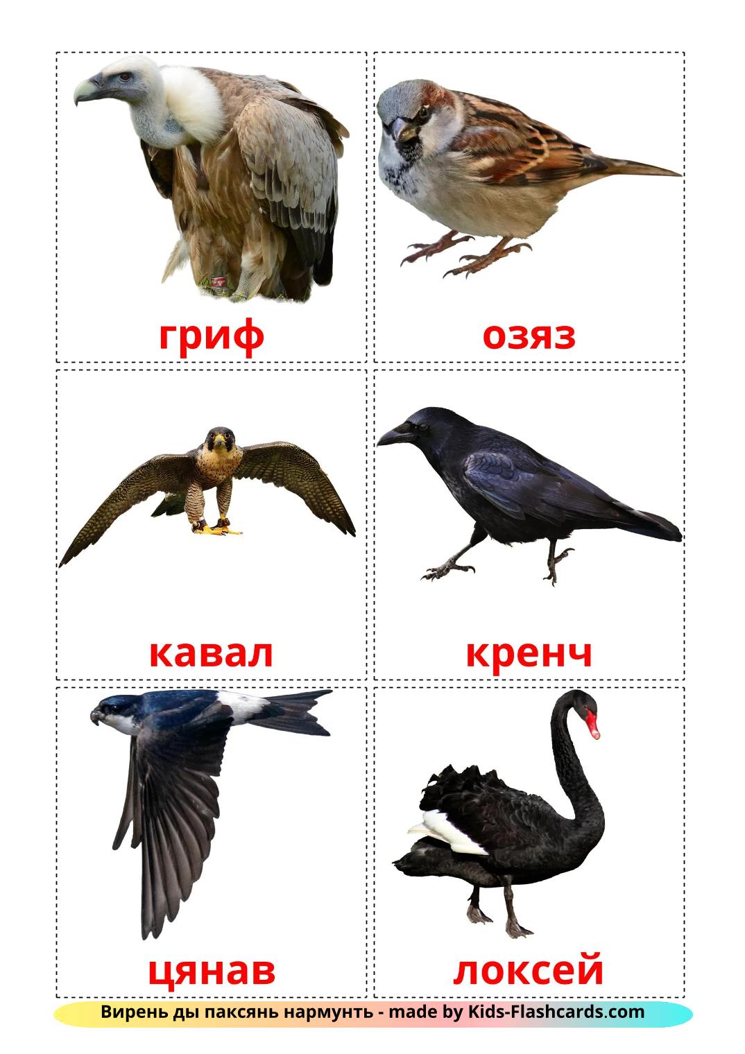 Wild birds - 19 Free Printable erzya Flashcards 