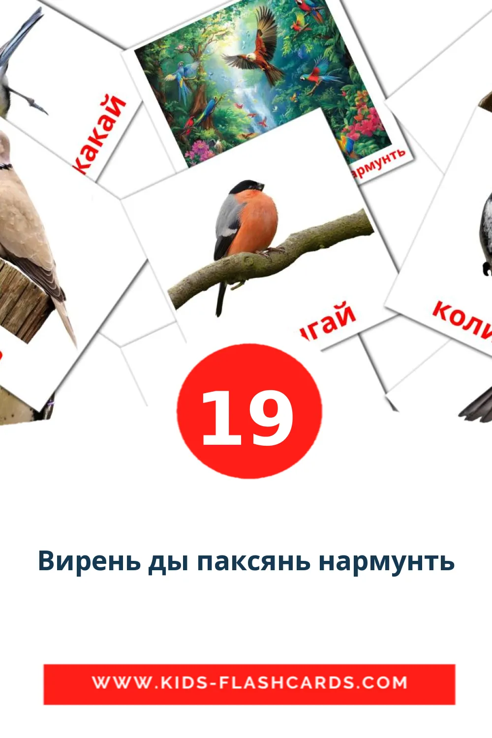 19 Вирень ды паксянь нармунть Picture Cards for Kindergarden in erzya