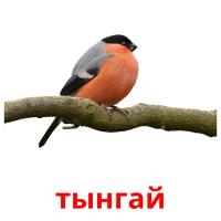 тынгай card for translate