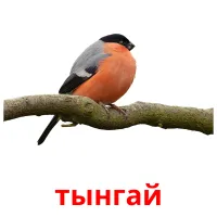 тынгай picture flashcards