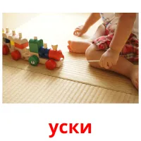 уски picture flashcards