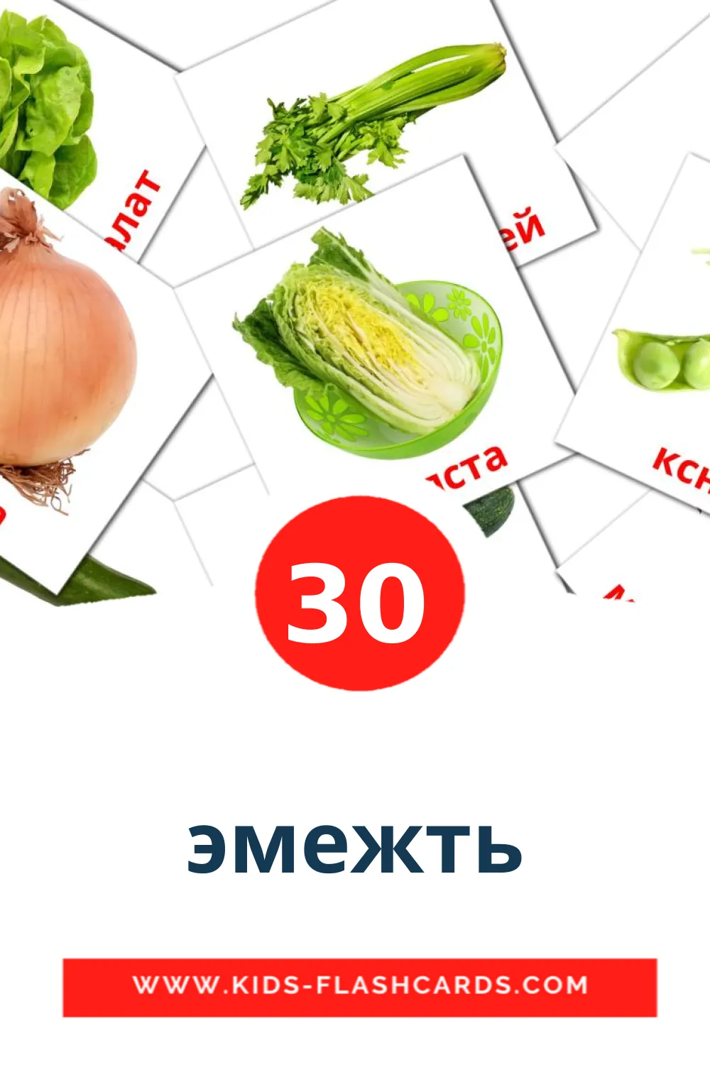 30 эмежть Picture Cards for Kindergarden in erzya