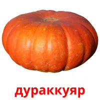 дураккуяр picture flashcards