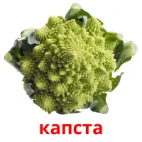 капста picture flashcards