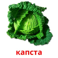 капста picture flashcards