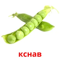 кснав picture flashcards