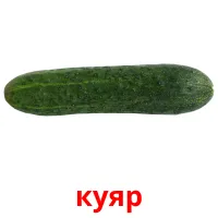 куяр picture flashcards