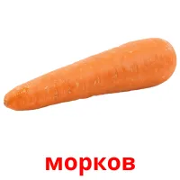 морков picture flashcards