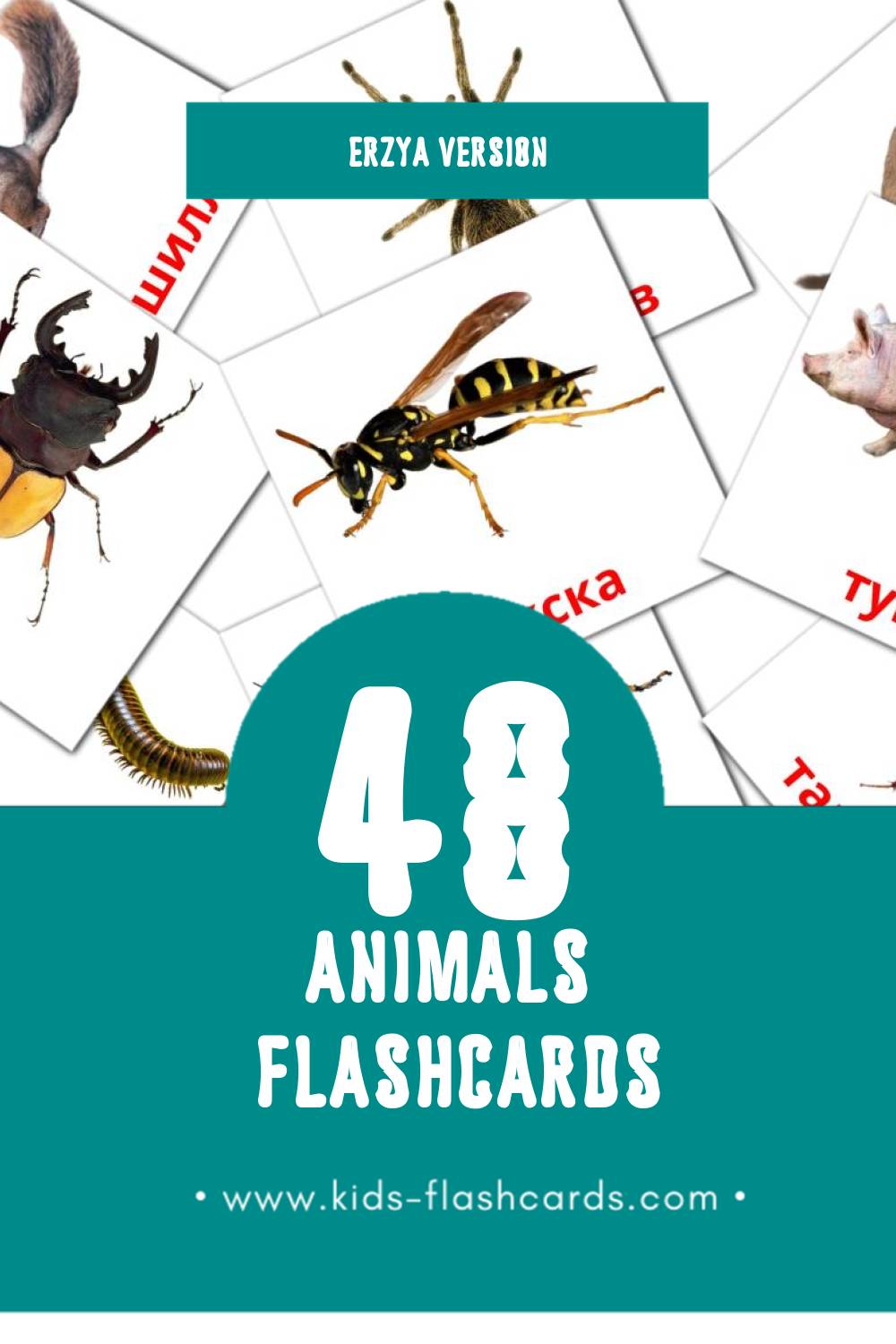 Visual Ракшат Flashcards for Toddlers (48 cards in Erzya)