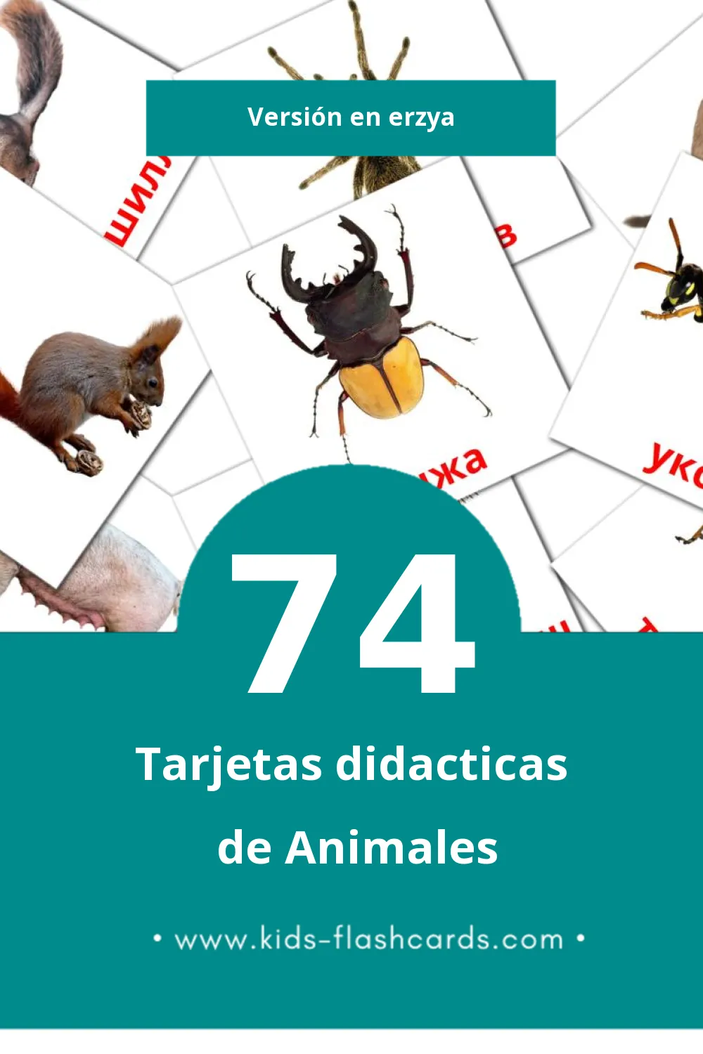 Tarjetas visuales de Ракшат para niños pequeños (74 tarjetas en Erzya)