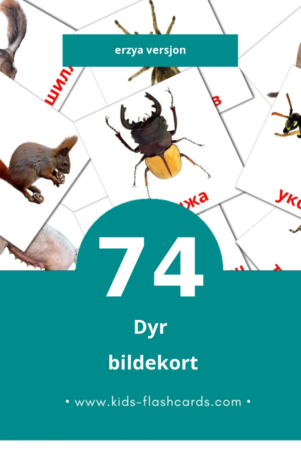 Visuelle Ракшат bildekort for småbarn (74 kort på Erzya)