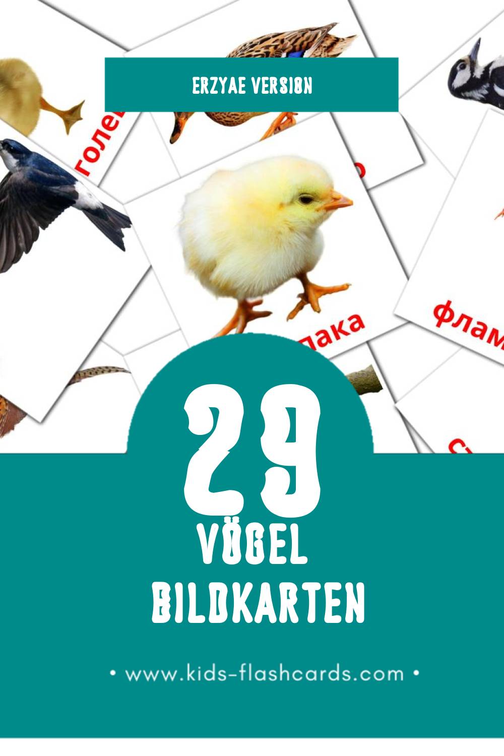 Visual Нармунть Flashcards für Kleinkinder (29 Karten in Erzya)