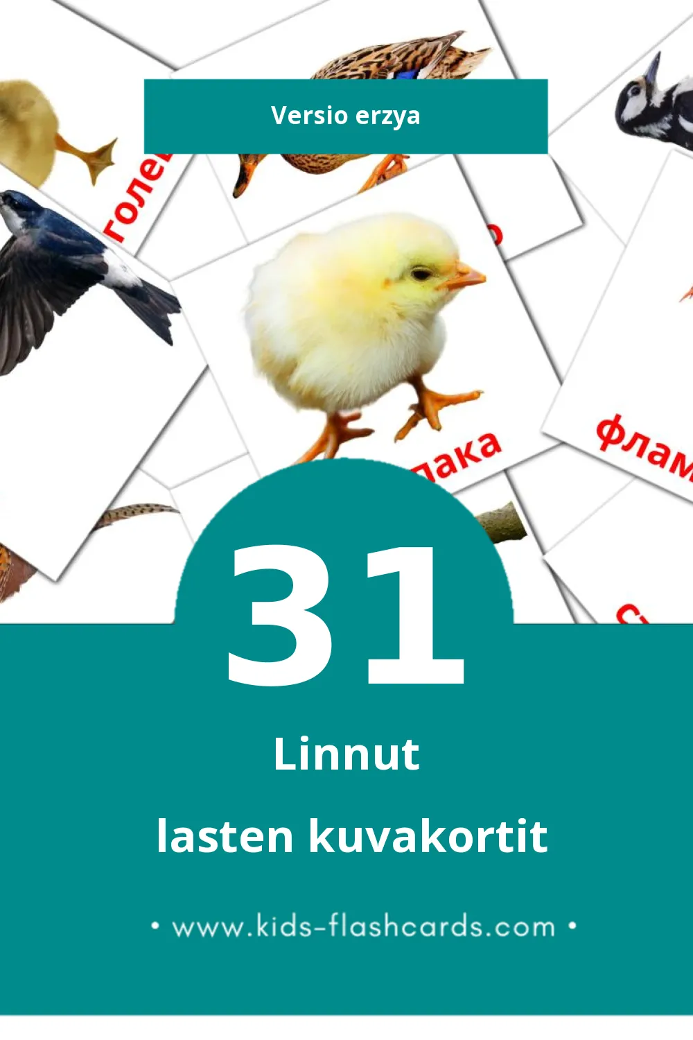 Нармунть lasten kuvakortit pikkulapsille (31 korttia Erzyaksi)
