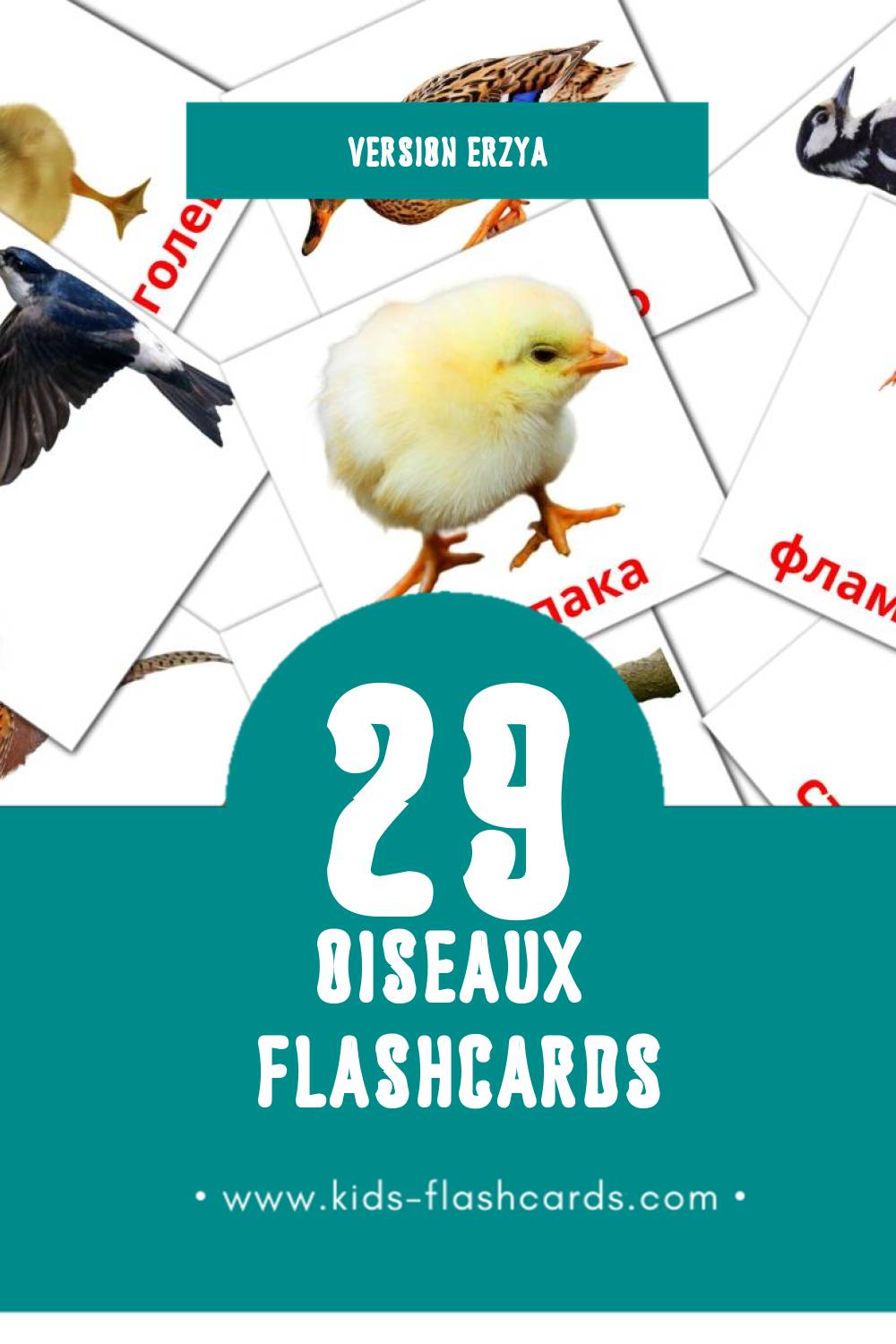 Flashcards Visual Нармунть pour les tout-petits (29 cartes en Erzya)