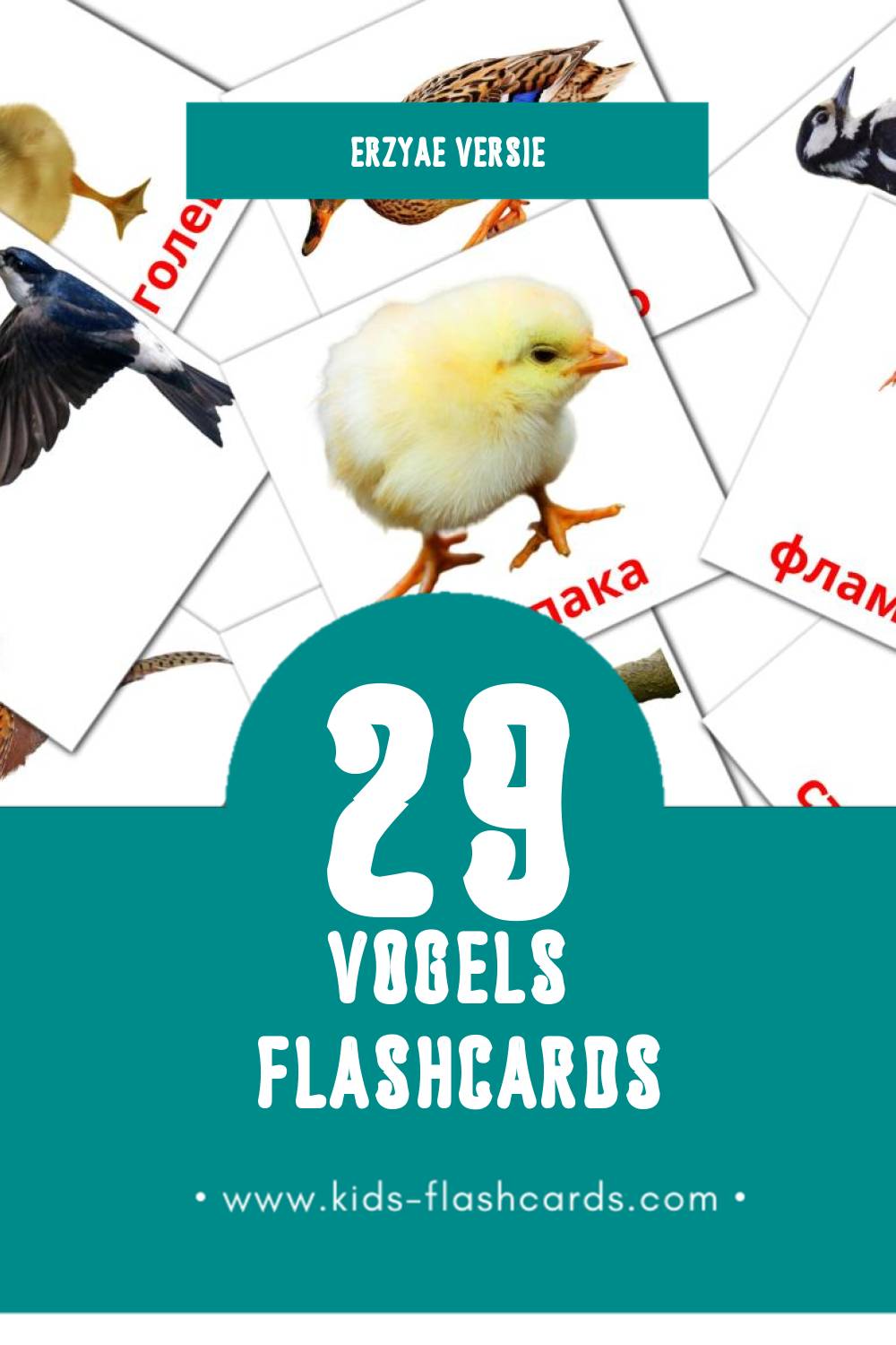 Visuele Нармунть Flashcards voor Kleuters (29 kaarten in het Erzya)