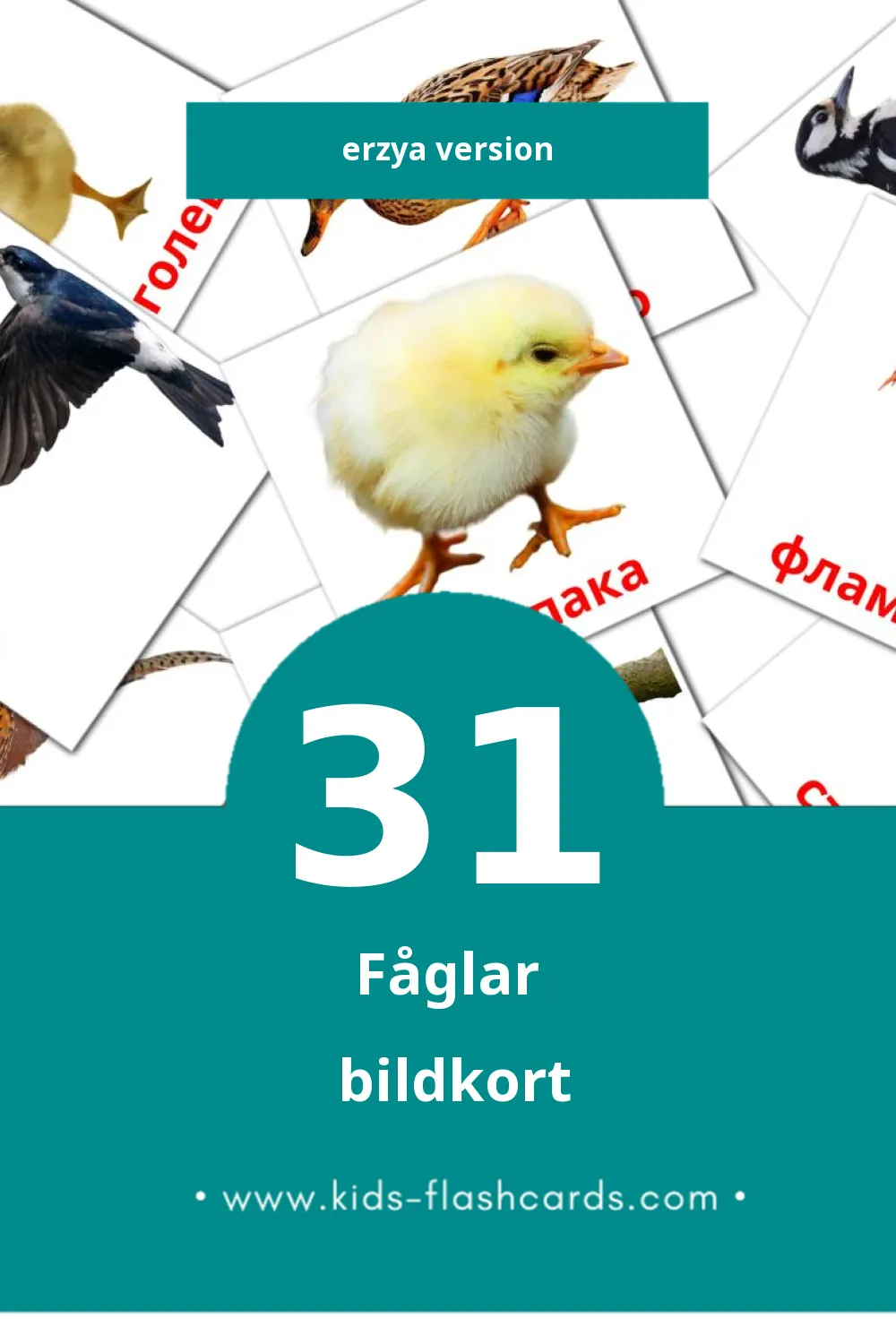 Visuella Нармунть för småbarn (31 bildkort för barn på Erzya)
