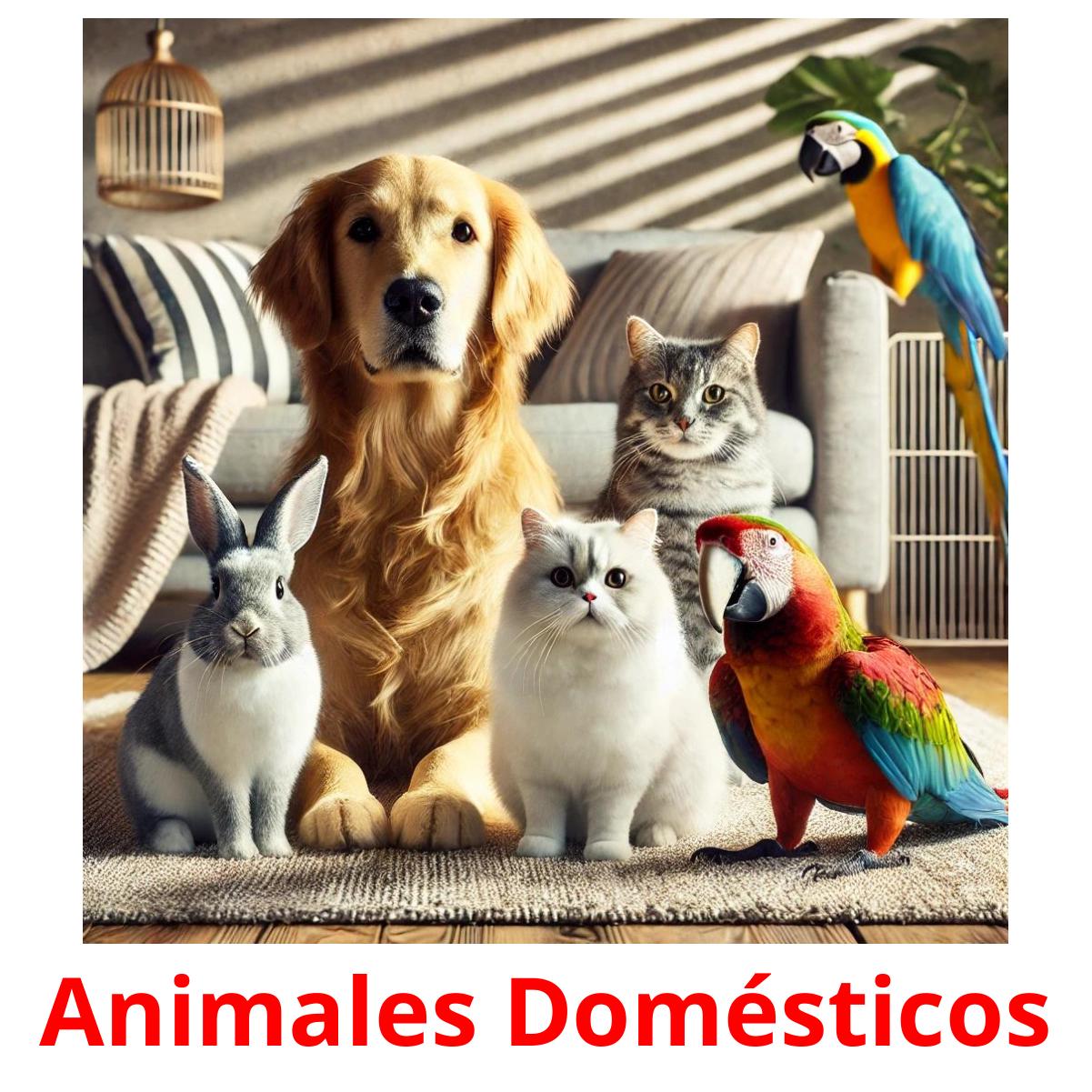 Animales Domésticos ansichtkaarten