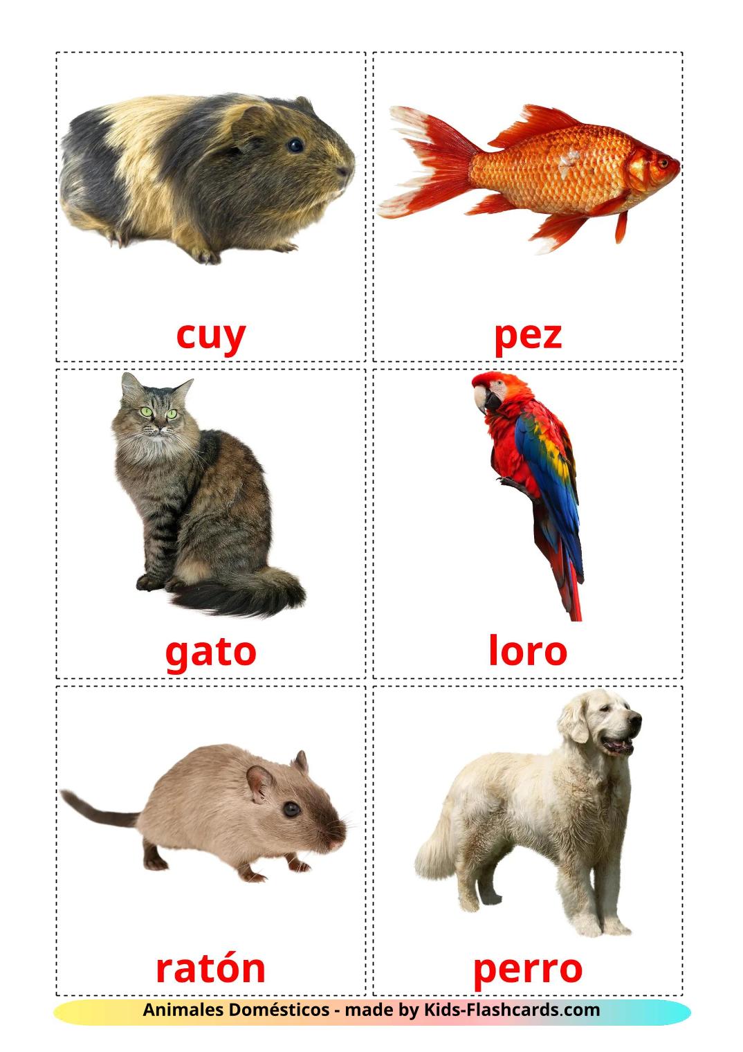 Domestic animals - 11 Free Printable spanish Flashcards 