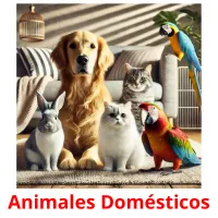 Animales Domésticos карточки энциклопедических знаний