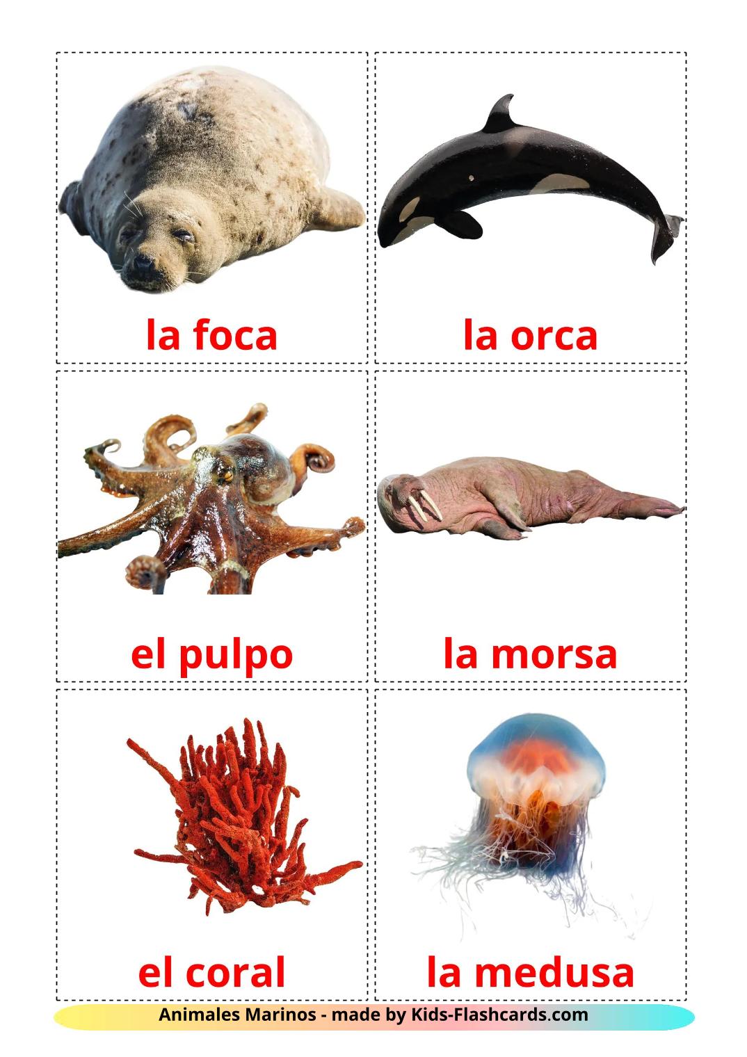 Sea animals - 30 Free Printable spanish Flashcards 