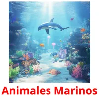 Animales Marinos Tarjetas didacticas