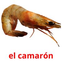 el camarón card for translate
