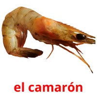 el camarón picture flashcards