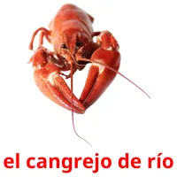 el cangrejo de río Tarjetas didacticas