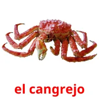 el cangrejo picture flashcards