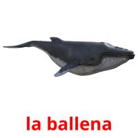 la ballena card for translate